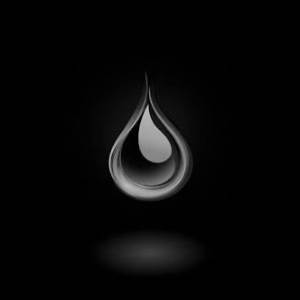 Seo Blogging Freelancing